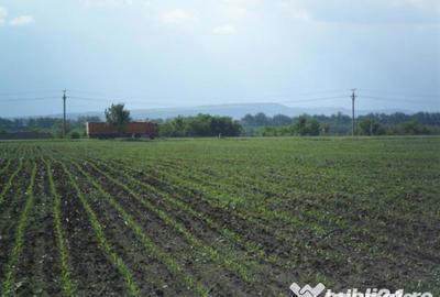 Teren în Poșta Câlnău - 4