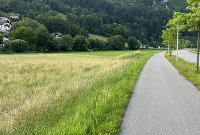 Magurele Teren 3.000 mp ideal pentru ansamblu de case / dezvoltare - 2