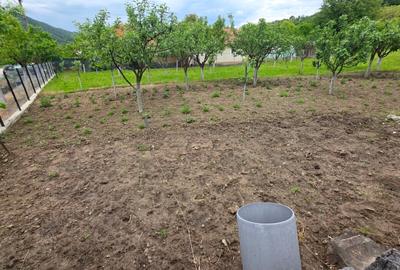 Casă cu 5 camere cu Teren 414 Mp în Frâncești - 25