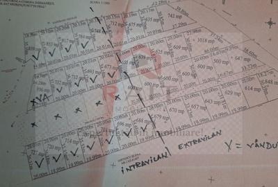 Teren Construcții intravilan de 650 mp, în Dârmănești - 3