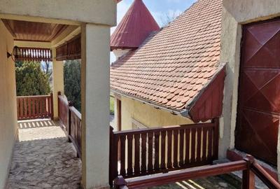 Casă cu 10 camere cu Teren 95000 Mp în Central - 5