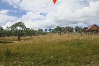 Teren de 4102 mp, în Valea Crișului - 6