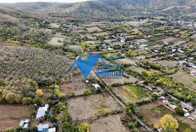 Teren intravilan NICULITEL, zona deosebita, 3044MP - 2