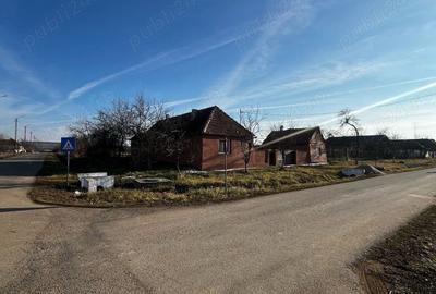 Casă cu 3 camere cu Teren 3000 Mp în Alioș - 4