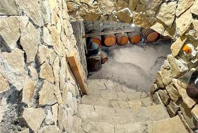 Casă cu 4 camere cu Teren 800 Mp în Kogălniceanu - 11