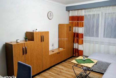 Apartament cu 2 camere în Șega - 4