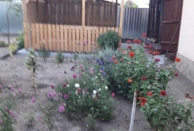 Casă individuală cu 3 camere cu Canalizare în Valea Măcrișului - 11