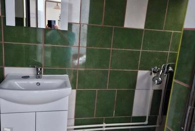 Apartament cu o camera Dambovita - 2