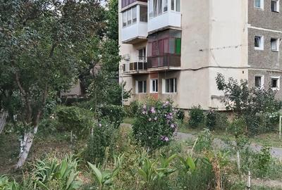 Garsoniera Vlaicu conf 1 piata agro Lebada - 8