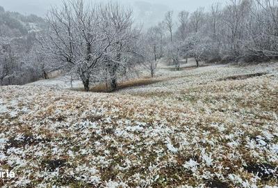 Teren de 9380 mp, în Secăria