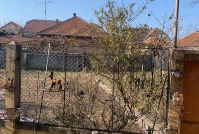 Casă cu 3 camere cu Teren 713 Mp în Lugoj - 12