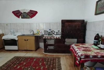 Casă cu 3 camere cu Teren 1567 Mp în Baia de Criș - 13