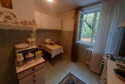 Drumul Taberei, Parc Moghioros - 13