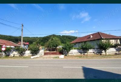 Casă cu 2 camere în Țicleni - 2