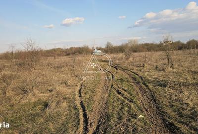 Teren de 475 mp, în Narciselor - 7