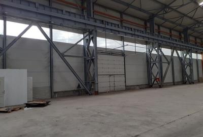 Spațiu industrial, de 900 mp, în Basarabia