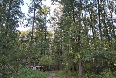 Teren de 2000 mp, în Petrești - 7