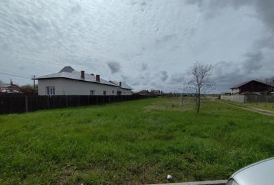 TEREN DE VANZARE BRADU - 3