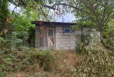 Casă cu 3 camere cu Teren 1167 Mp în Leamna de Jos - 3