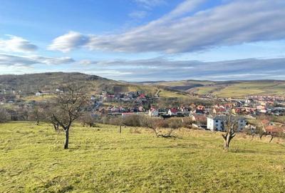 Teren de 16663 mp, în Central - 5