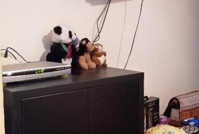 Apartament cu 2 camere decomandat, mobilat în Tătărași - 7