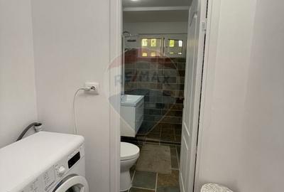 Apartament cu 3 camere semidecomandat, mobilat în Berceni - 10
