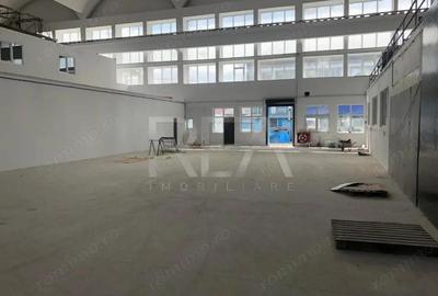 Hala renovata zona industriala Jilava - 3