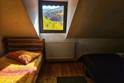 Casă cu 4 camere cu Teren 3000 Mp în Dosu Bricii - 3