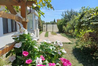 Casă cu 4 camere în Cornetu - 1