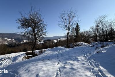 Teren de 21053 mp, în Vama - 10