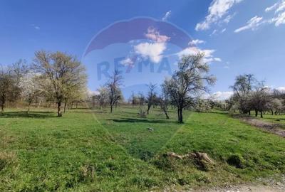 Teren de 1600 mp, în Cărbunari - 8