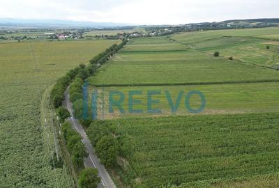 Teren de 4400 mp, în Racova - 1