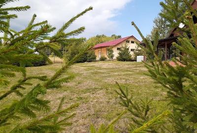 RECO casa Rosia - 6