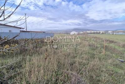 Vanzare teren extravilan, situat in Targu Jiu, strada Slobozia - 1