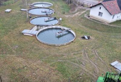 Casă cu 2 camere decomandat în Buzăiel - 2