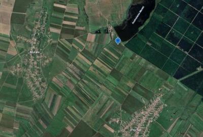 Teren de 29300 mp, în Pișchia