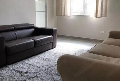 Apartament cu 2 camere decomandat în Gorjului - 4