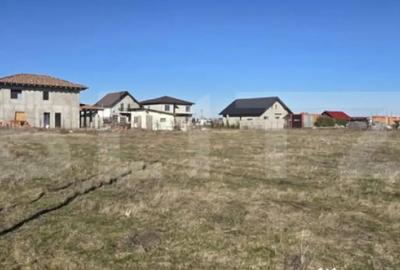 Teren în Torontalului