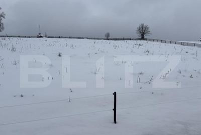 Teren intravilan de vanzare, 2000 mp, in Co?na, Podul Co? - 3