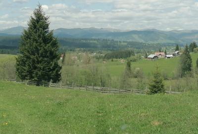 Teren de 45000 mp, în Ortoaia - 1