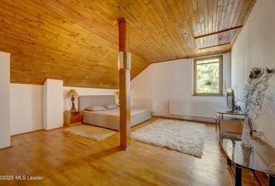 Casa de vacanta cu teren 5394 mp, Pucioasa, Dambovita - 8