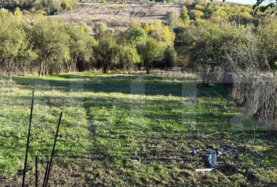 Teren de 2000 mp, în Central