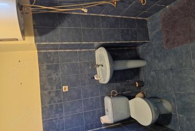 Casa de vanzare in Pancota - 4