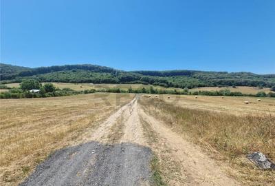 RECO parcele Betfia - 3