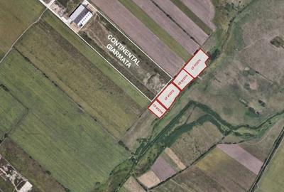 Proprietar, vând terenuri în intravilan lângă Continental Giarmata - 4