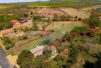 Teren Construcții intravilan de 4184 mp, în Miniș - 5