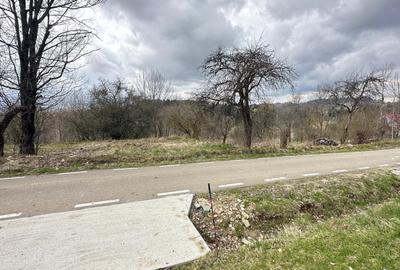 De vanzare teren in Brebu Nou  2877 mp De vanzare teren in Brebu Nou  2877 mp - 3