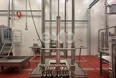 Teren Construcții intravilan de 105000 mp, în Crânguri - 10