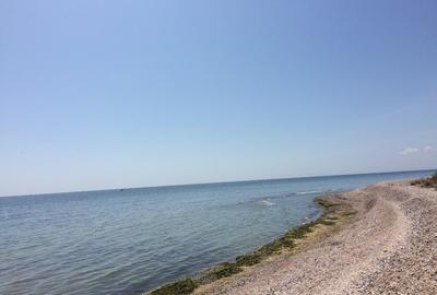 Teren intravilan 5.000 mp in Costinesti, pe faleza, cu Autorizatie de construire - 7
