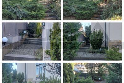 Birou, de 185 mp, în Andrei Mureșanu - 3